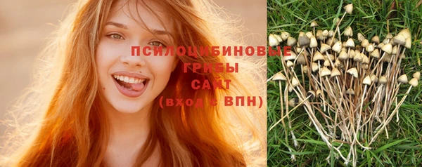 ПСИЛОЦИБИНОВЫЕ ГРИБЫ Балабаново