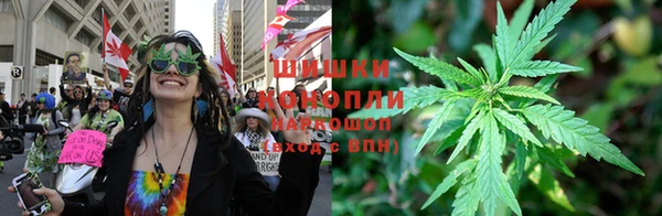 ПСИЛОЦИБИНОВЫЕ ГРИБЫ Балабаново