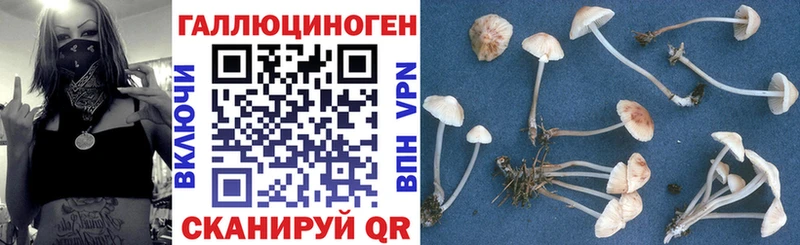 Купить закладки  Вельск  Галлюциногенные грибы прущие грибы 
